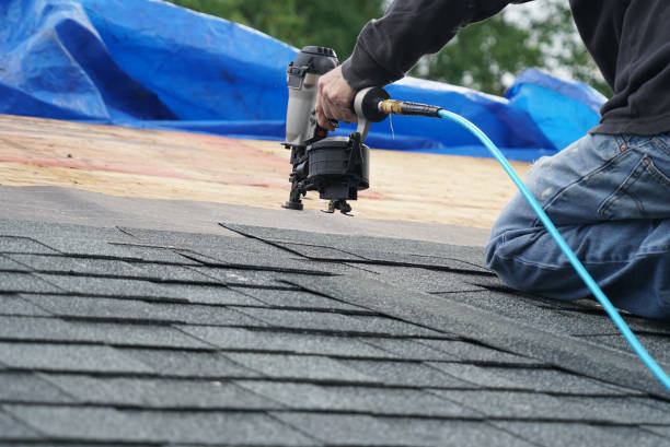 Best Metal Roofing Contractor  in Peabody, KS
